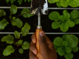 impacto-medioambiental-minimo-del-acero-inoxidable